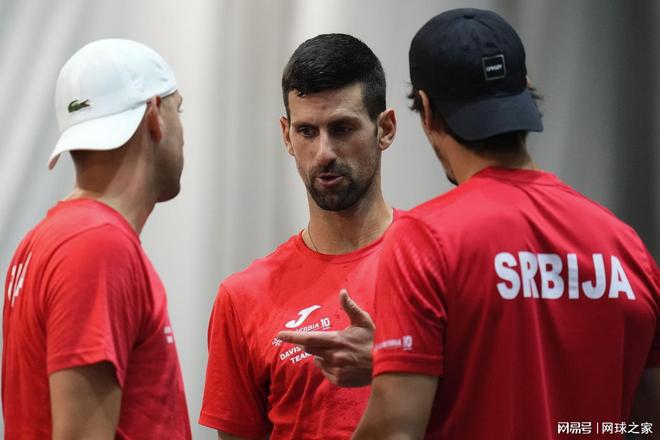 雄狮复仇 雄狮复仇