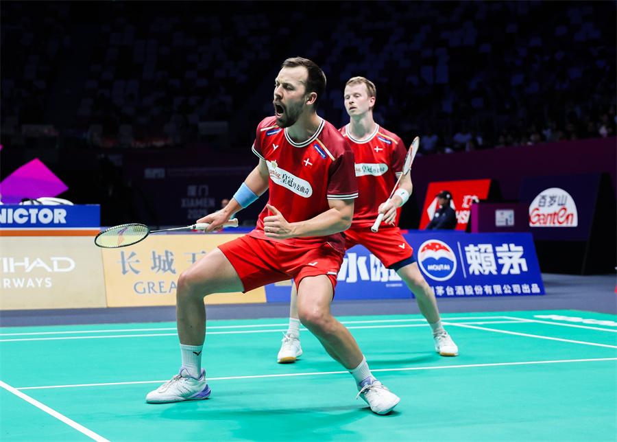 案例参照 案例参照